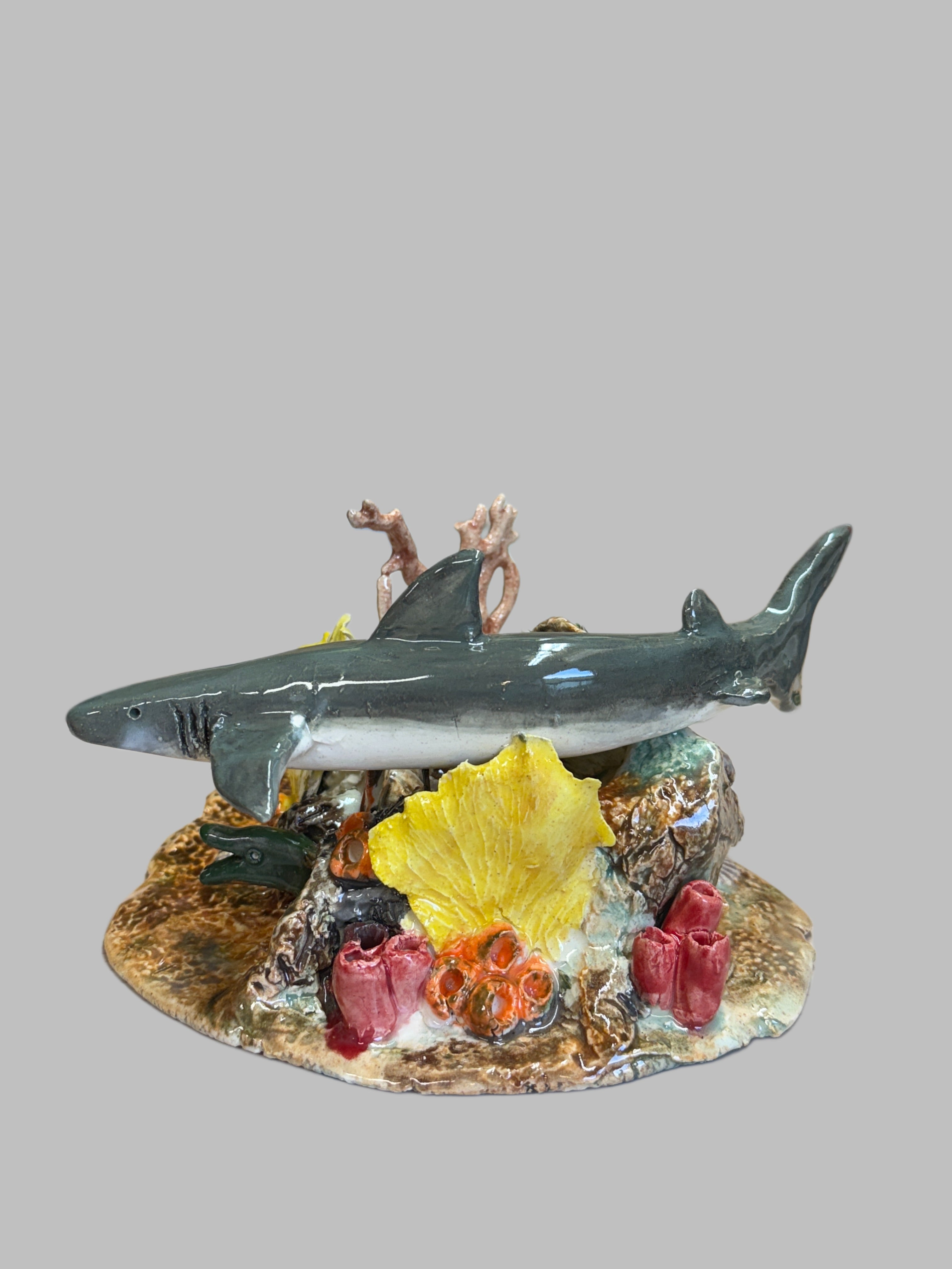 Gray Shark