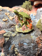 Green Ceramic Sea Turtle with Coral Sculpture