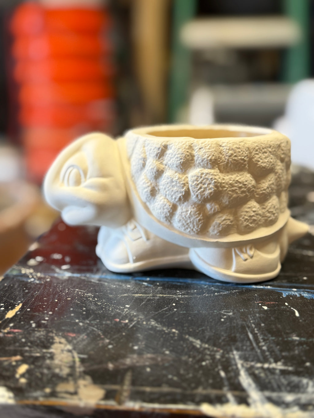 Paint Your Own Turtle Planter - Bisque Ceramic
