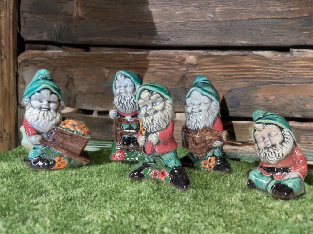 Playful Garden Gnome