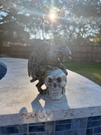 Gargoyle Clutching a Skull 2