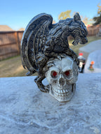 Gargoyle Clutching a Skull 2