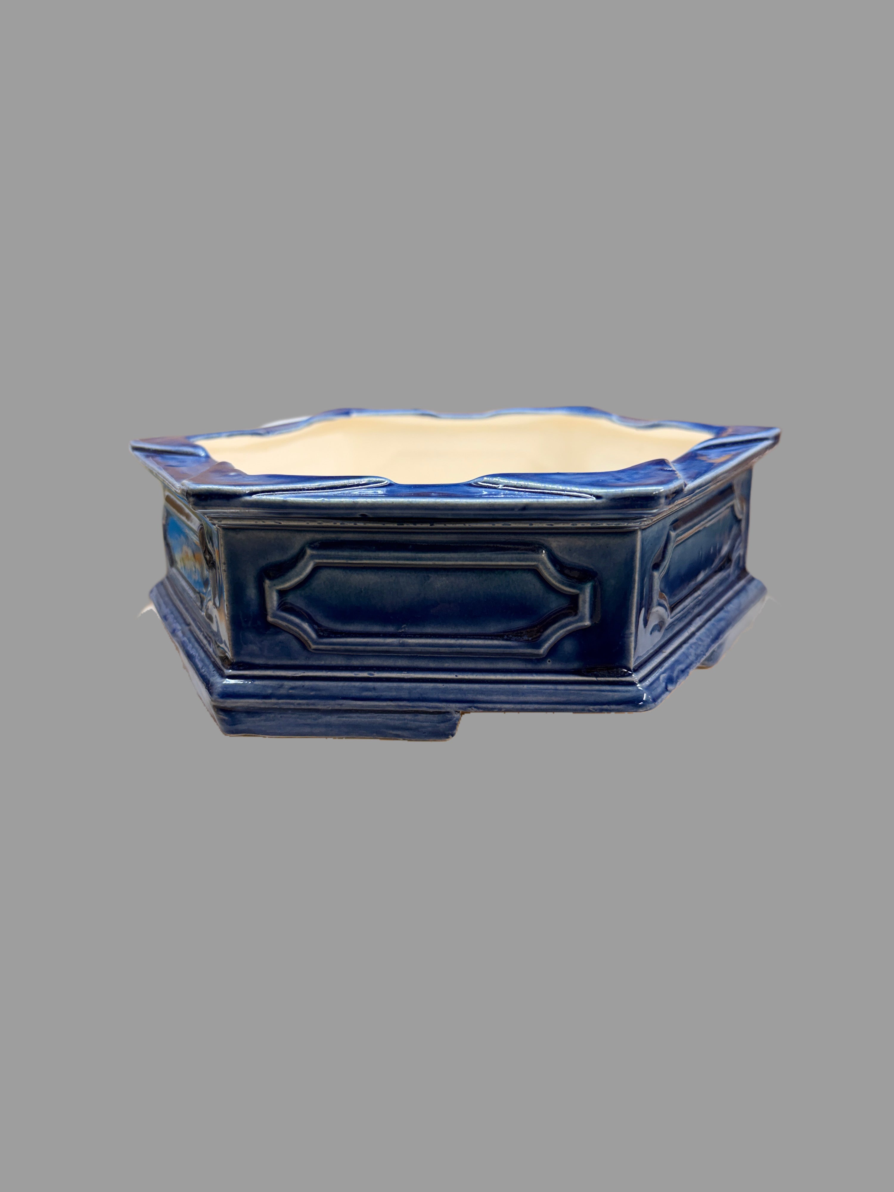 Blue Star Bonsai Pot