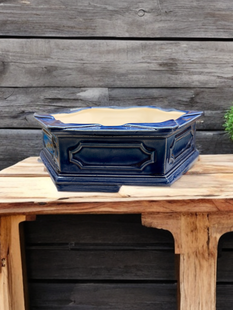 Blue Star Bonsai Pot