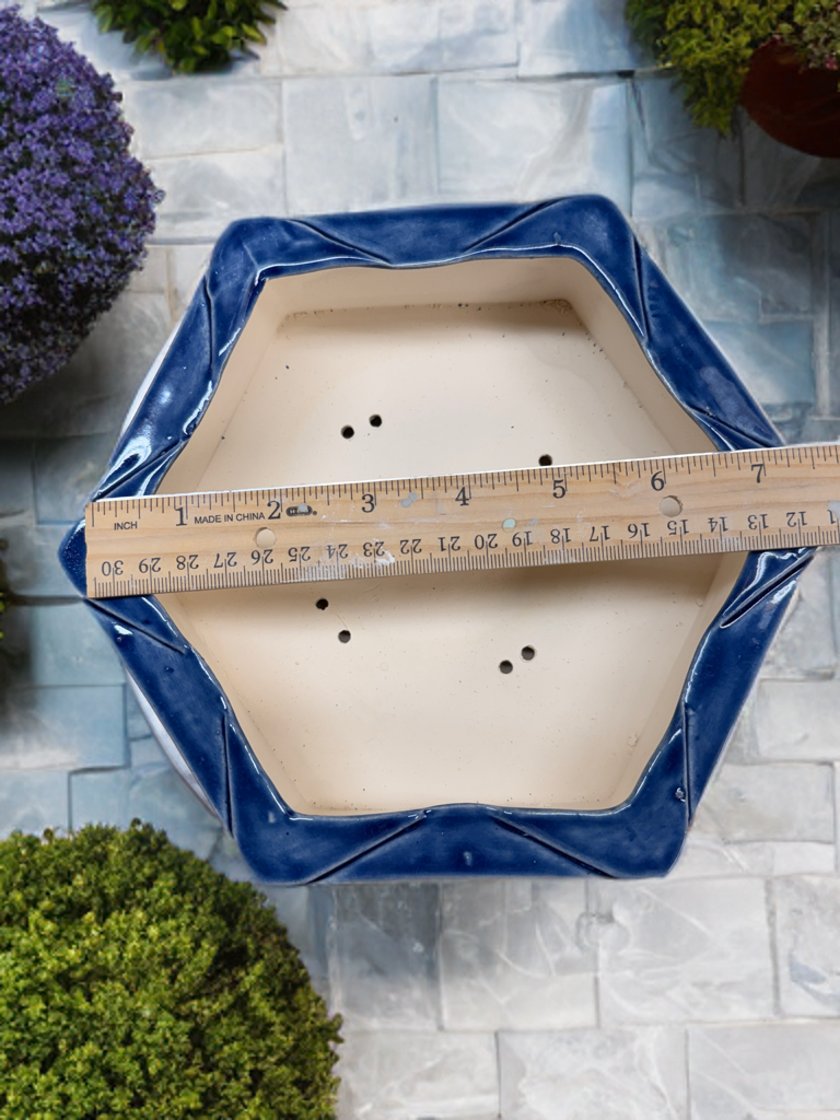 Blue Star Bonsai Pot