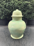 Celadon Ceramic Ginger Jar with Lid